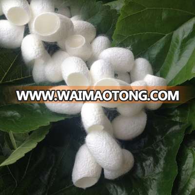 100% Natural Factory wholesale natural double silk cocoon /silk cocoon